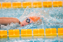 XXVIII Gran Premio Shark20-21 Dicembre 2025Piscina Scandone Napoli