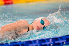 XXVIII Gran Premio Shark20-21 Dicembre 2025Piscina Scandone Napoli