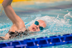 XXVIII Gran Premio Shark20-21 Dicembre 2025Piscina Scandone Napoli