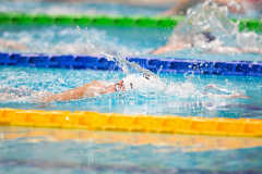 XXVIII Gran Premio Shark20-21 Dicembre 2025Piscina Scandone Napoli