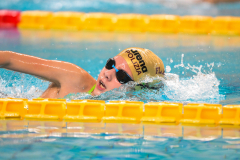 XXVIII Gran Premio Shark20-21 Dicembre 2025Piscina Scandone Napoli