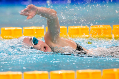 XXVIII Gran Premio Shark20-21 Dicembre 2025Piscina Scandone Napoli