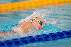 XXVIII Gran Premio Shark
20-21 Dicembre 2025
Piscina Scandone Napoli