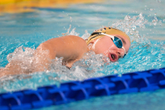 XXVIII Gran Premio Shark
20-21 Dicembre 2025
Piscina Scandone Napoli