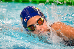 XXVIII Gran Premio Shark
20-21 Dicembre 2025
Piscina Scandone Napoli