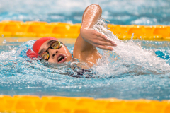 XXVIII Gran Premio Shark
20-21 Dicembre 2025
Piscina Scandone Napoli