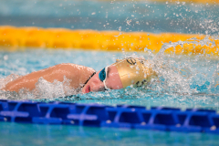 XXVIII Gran Premio Shark
20-21 Dicembre 2025
Piscina Scandone Napoli