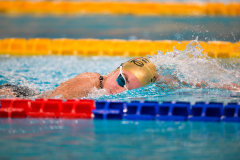 XXVIII Gran Premio Shark
20-21 Dicembre 2025
Piscina Scandone Napoli