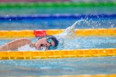 XXVIII Gran Premio Shark
20-21 Dicembre 2025
Piscina Scandone Napoli