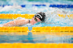 XXVIII Gran Premio Shark
20-21 Dicembre 2025
Piscina Scandone Napoli