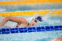 XXVIII Gran Premio Shark
20-21 Dicembre 2025
Piscina Scandone Napoli