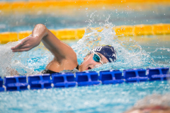 XXVIII Gran Premio Shark
20-21 Dicembre 2025
Piscina Scandone Napoli