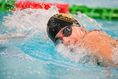 XXVIII Gran Premio Shark
20-21 Dicembre 2025
Piscina Scandone Napoli