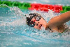 XXVIII Gran Premio Shark
20-21 Dicembre 2025
Piscina Scandone Napoli