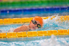 XXVIII Gran Premio Shark20-21 Dicembre 2025Piscina Scandone Napoli