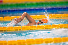 XXVIII Gran Premio Shark20-21 Dicembre 2025Piscina Scandone Napoli