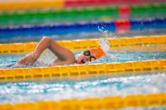 XXVIII Gran Premio Shark20-21 Dicembre 2025Piscina Scandone Napoli