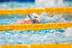 XXVIII Gran Premio Shark20-21 Dicembre 2025Piscina Scandone Napoli