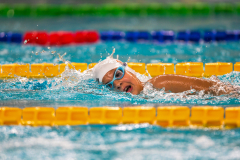 XXVIII Gran Premio Shark20-21 Dicembre 2025Piscina Scandone Napoli