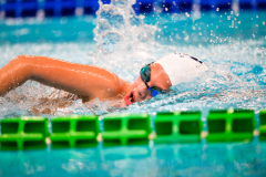 XXVIII Gran Premio Shark20-21 Dicembre 2025Piscina Scandone Napoli