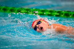 XXVIII Gran Premio Shark20-21 Dicembre 2025Piscina Scandone Napoli