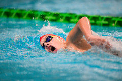 XXVIII Gran Premio Shark20-21 Dicembre 2025Piscina Scandone Napoli