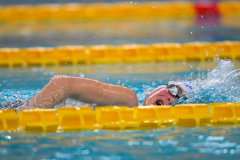 XXVIII Gran Premio Shark20-21 Dicembre 2025Piscina Scandone Napoli