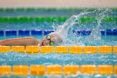 XXVIII Gran Premio Shark20-21 Dicembre 2025Piscina Scandone Napoli