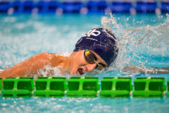 XXVIII Gran Premio Shark
20-21 Dicembre 2025
Piscina Scandone Napoli