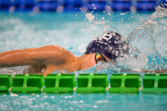 XXVIII Gran Premio Shark
20-21 Dicembre 2025
Piscina Scandone Napoli