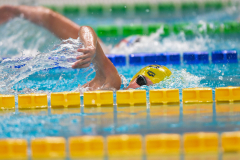 XXVIII Gran Premio Shark
20-21 Dicembre 2025
Piscina Scandone Napoli