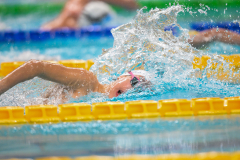 XXVIII Gran Premio Shark
20-21 Dicembre 2025
Piscina Scandone Napoli