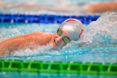 XXVIII Gran Premio Shark
20-21 Dicembre 2025
Piscina Scandone Napoli