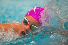 XXVIII Gran Premio Shark
20-21 Dicembre 2025
Piscina Scandone Napoli