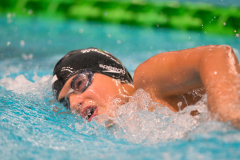 XXVIII Gran Premio Shark
20-21 Dicembre 2025
Piscina Scandone Napoli