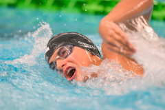 XXVIII Gran Premio Shark
20-21 Dicembre 2025
Piscina Scandone Napoli