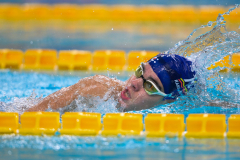 XXVIII Gran Premio Shark
20-21 Dicembre 2025
Piscina Scandone Napoli