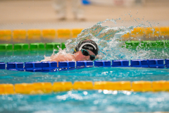 XXVIII Gran Premio Shark
20-21 Dicembre 2025
Piscina Scandone Napoli