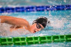 XXVIII Gran Premio Shark
20-21 Dicembre 2025
Piscina Scandone Napoli