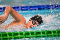 XXVIII Gran Premio Shark
20-21 Dicembre 2025
Piscina Scandone Napoli