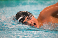 XXVIII Gran Premio Shark
20-21 Dicembre 2025
Piscina Scandone Napoli