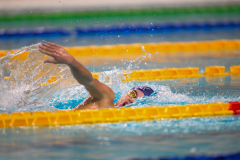 XXVIII Gran Premio Shark
20-21 Dicembre 2025
Piscina Scandone Napoli