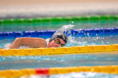 XXVIII Gran Premio Shark
20-21 Dicembre 2025
Piscina Scandone Napoli