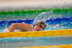 XXVIII Gran Premio Shark
20-21 Dicembre 2025
Piscina Scandone Napoli