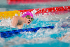 XXVIII Gran Premio Shark
20-21 Dicembre 2025
Piscina Scandone Napoli