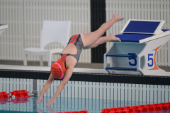 XXVIII Gran Premio Shark20-21 Dicembre 2025Piscina Scandone Napoli