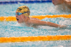 XXVIII Gran Premio Shark20-21 Dicembre 2025Piscina Scandone Napoli