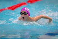 XXVIII Gran Premio Shark20-21 Dicembre 2025Piscina Scandone Napoli