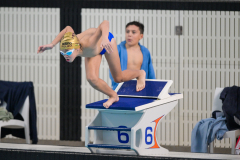 XXVIII Gran Premio Shark
20-21 Dicembre 2025
Piscina Scandone Napoli