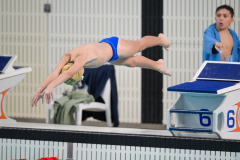 XXVIII Gran Premio Shark
20-21 Dicembre 2025
Piscina Scandone Napoli